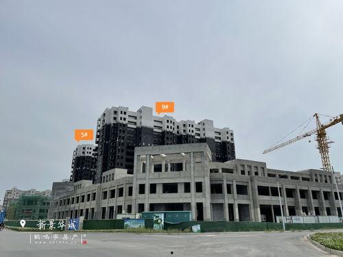 第5人格解包最新爆料,神秘角色与全新机制大揭秘！